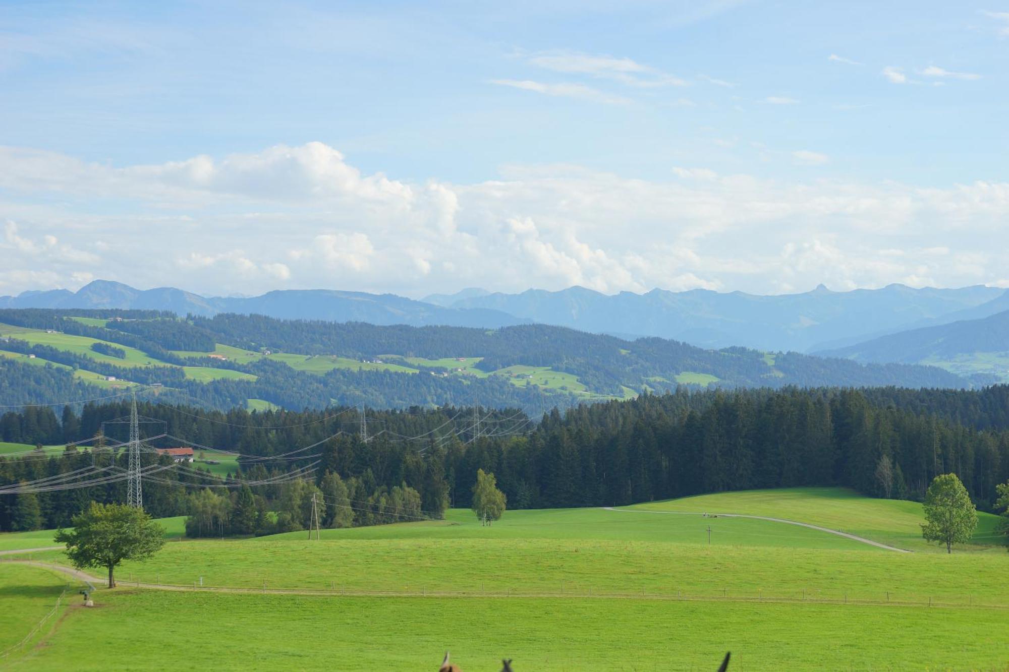 Relax-Red Mit Pool Und Sauna Scheidegg Exterior foto
